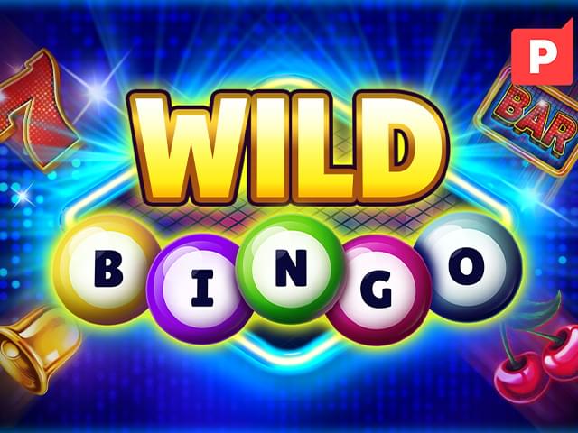 520bet Bingo Selvagem